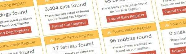 report a found pet that is found