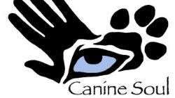 Canine Soul
