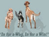 Wag Wins UK